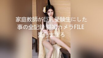 家庭教師が巨乳受験生にした事の全記録 隠撮カメラFILE 愛乃まほろ