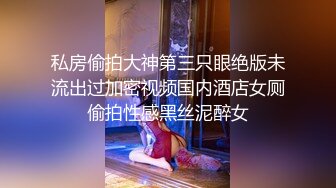 私房偷拍大神第三只眼绝版未流出过加密视频国内酒店女厕偷拍性感黑丝泥醉女