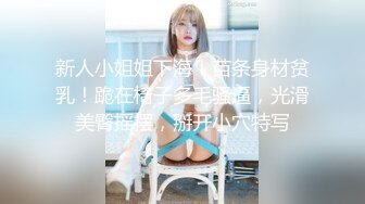 新人小姐姐下海！苗条身材贫乳！跪在椅子多毛骚逼，光滑美臀摇摆，掰开小穴特写