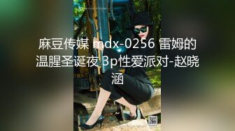 麻豆传媒 mdx-0256 雷姆的温腥圣诞夜 3p性爱派对-赵晓涵