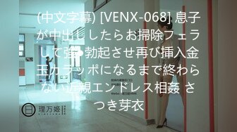 (中文字幕) [VENX-068] 息子が中出ししたらお掃除フェラして強●勃起させ再び挿入金玉カラッポになるまで終わらない近親エンドレス相姦 さつき芽衣