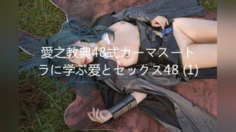 愛之教典48式カーマスートラに学ぶ爱とセックス48 (1)