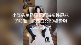 小陈头星选探花包臀裙性感妹子啪啪，跪着口交69姿势掰穴抽插猛操