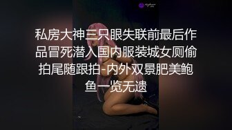 私房大神三只眼失联前最后作品冒死潜入国内服装城女厕偷拍尾随跟拍-内外双景肥美鲍鱼一览无遗