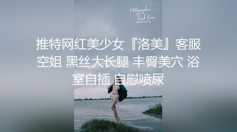 推特网红美少女『洛美』客服空姐 黑丝大长腿 丰臀美穴 浴室自插 自慰喷尿