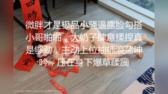 微胖才是极品小骚逼露脸勾搭小哥啪啪，大奶子肆意揉捏真是够劲，主动上位抽插浪荡呻吟，压在身下爆草蹂躏