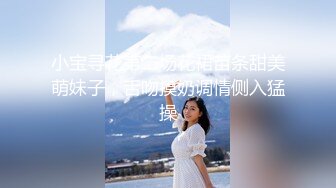 小宝寻花第二场花裙苗条甜美萌妹子，舌吻摸奶调情侧入猛操