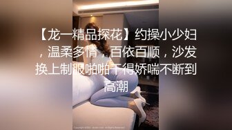 【龙一精品探花】约操小少妇，温柔多情，百依百顺，沙发换上制服啪啪干得娇喘不断到高潮