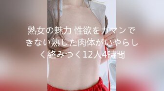 熟女の魅力 性欲をガマンできない熟した肉体がいやらしく絡みつく12人4時間