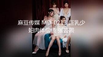 麻豆传媒 MD-0213 巨乳少妇肉体偿债 张芸熙