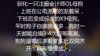 驯化一只注册会计师OL母狗，上班在公司无聊的发着呆，下班后变成标准的K9母狗。平时狗子自摸就很多，有时一天都能自摸3 4次阴蒂高潮。狗狗遛弯后求着爹主玩双洞齐开，精彩慢慢放。。