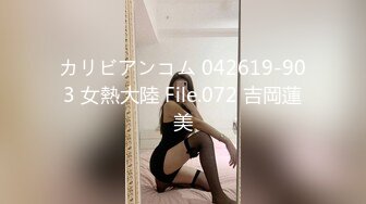 カリビアンコム 042619-903 女熱大陸 File.072 吉岡蓮美