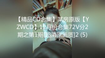 【精品CD合集】某房原版【YZWCD】12月份合集72V分2期之第1期[超清原画质]2 (5)