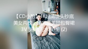 【CD小酌】4K超清镜头抄底美女两枚，国宝级美腿包臀裙3V [超清无水原档] (2)