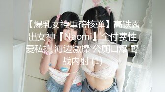 【爆乳女神重磅核弹】高铁露出女神『Naomi』全付费性爱私拍 海边激操 公厕口爆 野战内射 (1)