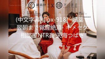 (中文字幕) [ipx-918] -媚薬で翌朝まで覚醒絶頂- キメセク相部屋NTR姦 天海つばさ