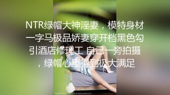 NTR绿帽大神淫妻，模特身材一字马极品娇妻穿开档黑色勾引酒店修理工 自己一旁拍摄，绿帽心里得到极大满足