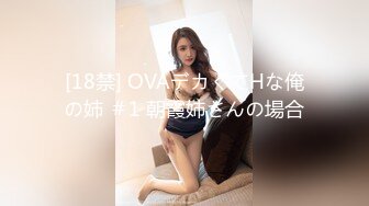 [18禁] OVAデカくてHな俺の姉 ＃1 朝霞姉さんの場合