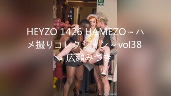 HEYZO 1426 HAMEZO～ハメ撮りコレクション～vol38 – 広瀬みづき