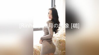 [Rinhee] 12月の映像 [鵗]