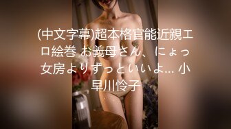 (中文字幕)超本格官能近親エロ絵巻 お義母さん、にょっ女房よりずっといいよ… 小早川怜子