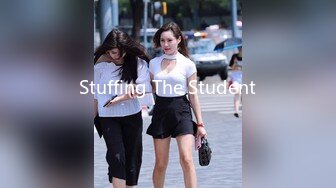 Stuffing The Student