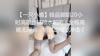 【一只小晴】极品御姐20小时高跟丝袜喷水啪啪！全程高能无尿点，绝对的视觉冲击 (1)