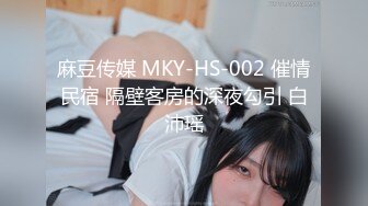 麻豆传媒 MKY-HS-002 催情民宿 隔壁客房的深夜勾引 白沛瑶