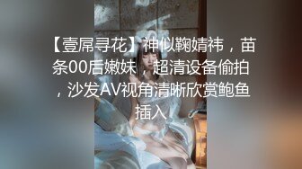 【壹屌寻花】神似鞠婧祎，苗条00后嫩妹，超清设备偷拍，沙发AV视角清晰欣赏鲍鱼插入